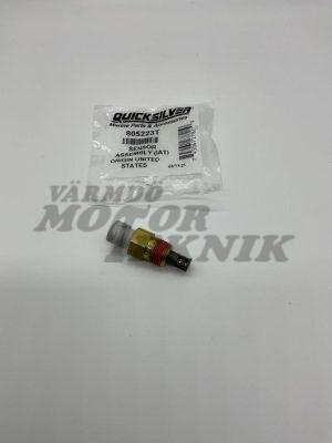 Sensor IAT insugstemp