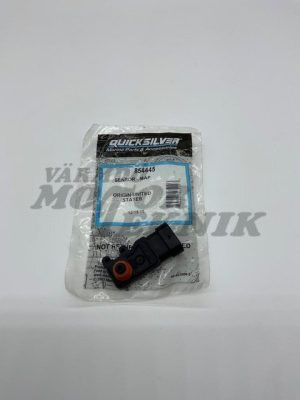 Map sensor