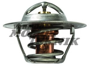 Termostat RWC